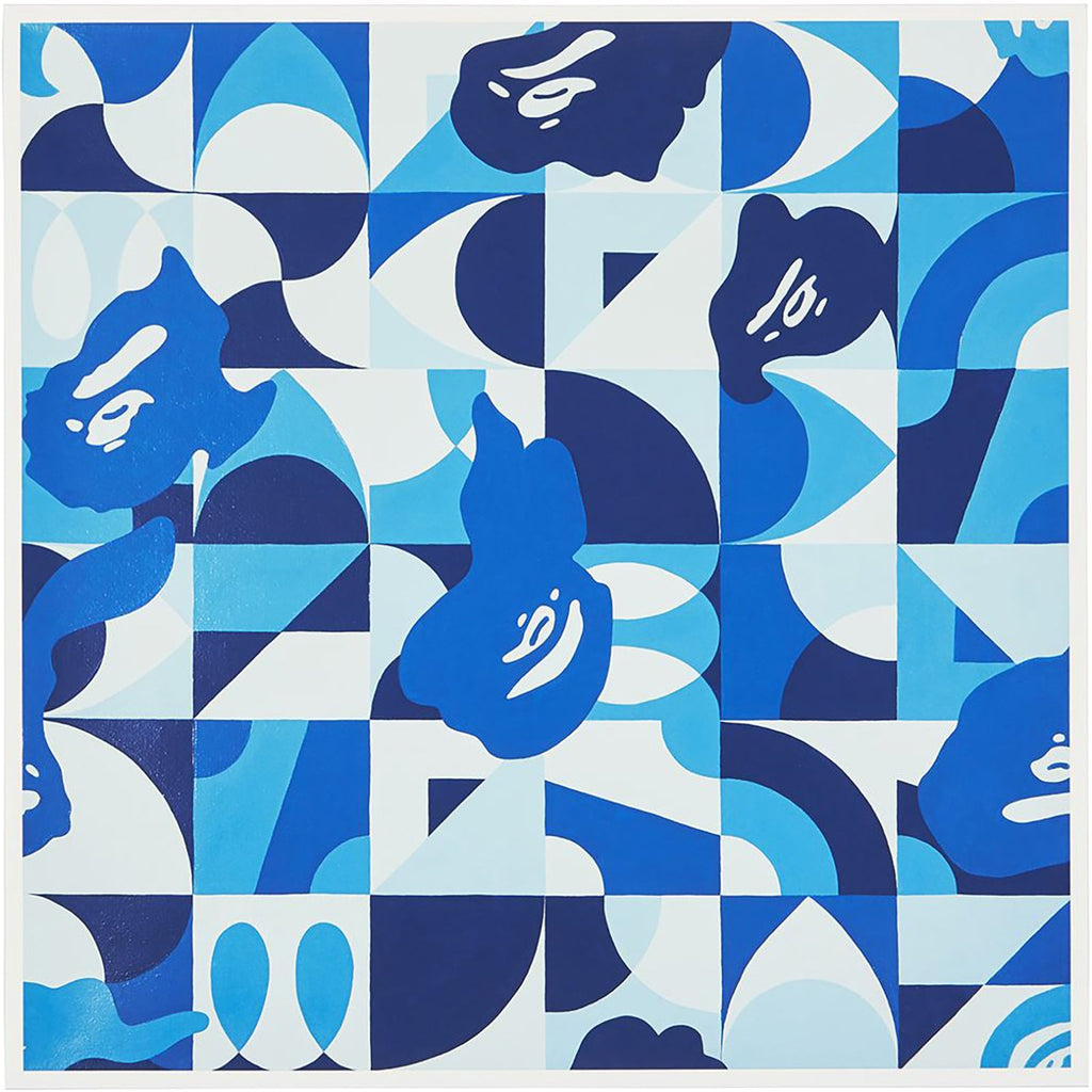 A X ILIZARBE ABC CAMO BLUE by ALVARO ILIZARBE