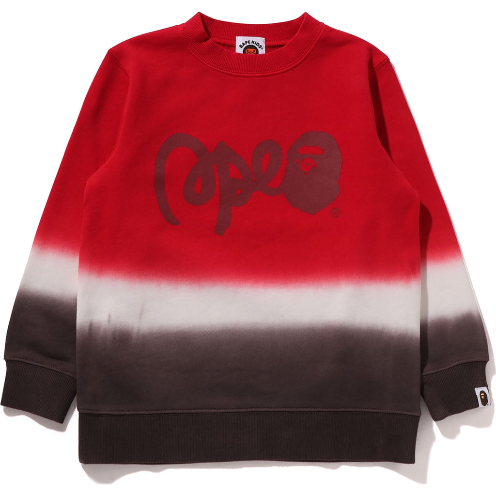 GRADATION  CREWNECK SWEATSHIRT KIDS