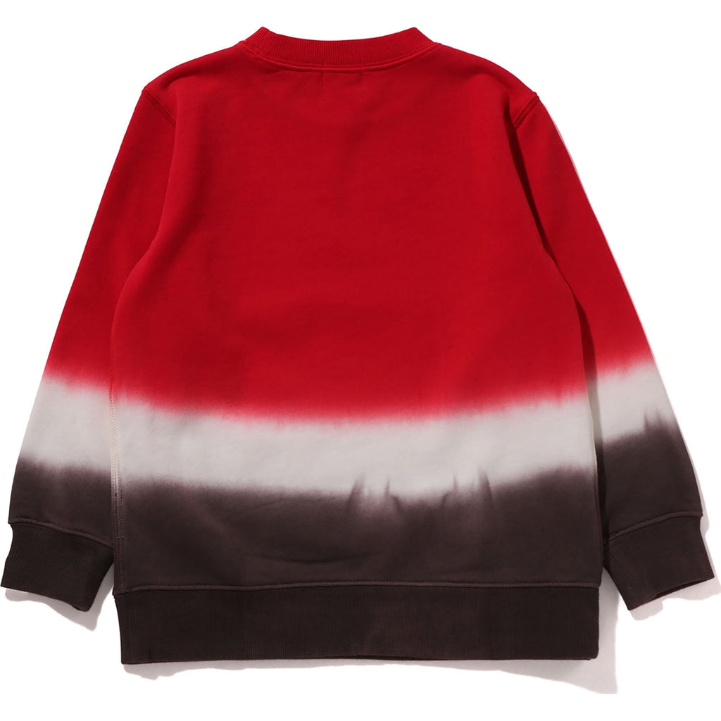 GRADATION  CREWNECK SWEATSHIRT KIDS