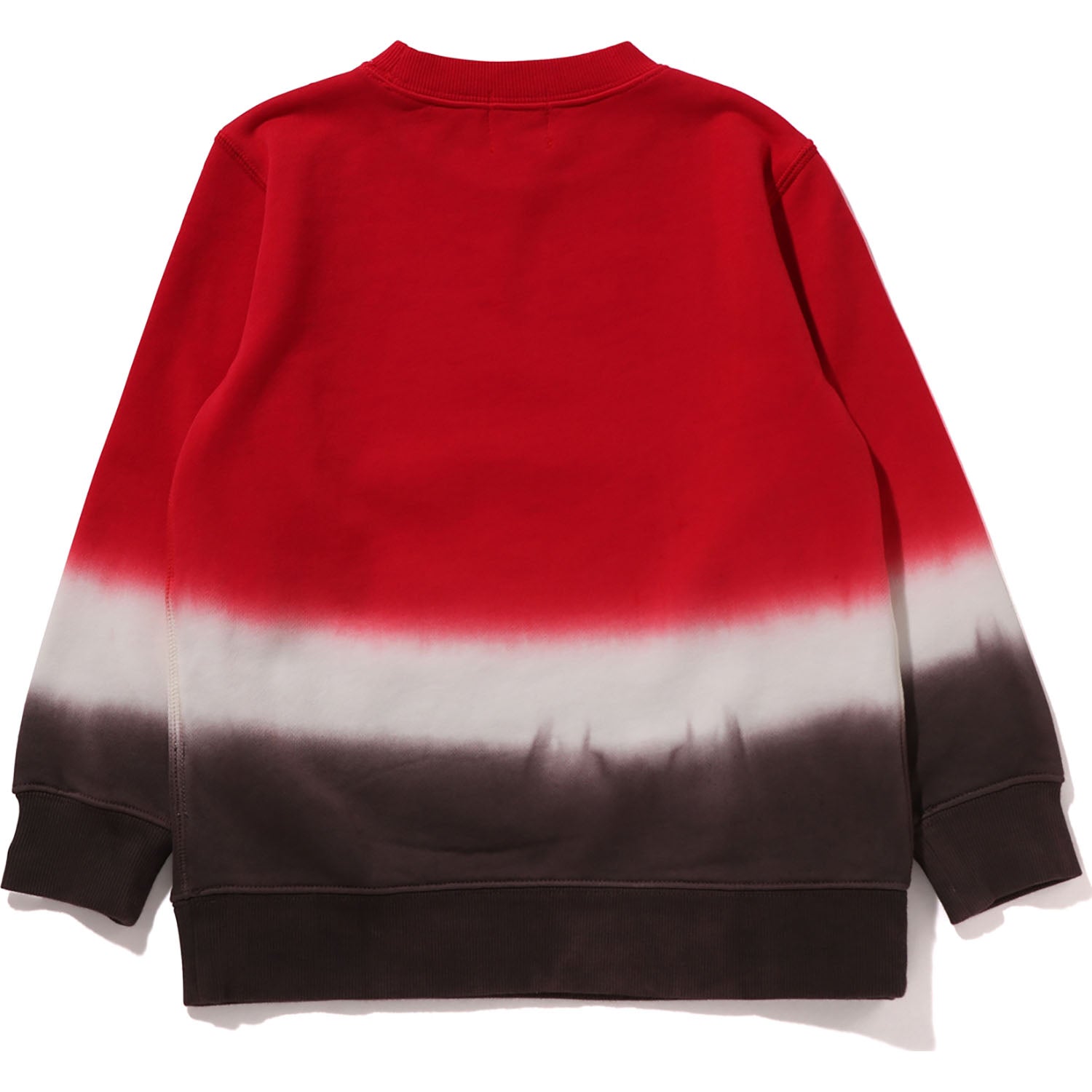 GRADATION  CREWNECK SWEATSHIRT KIDS