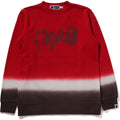 GRADATION  CREWNECK SWEATSHIRT JR KIDS