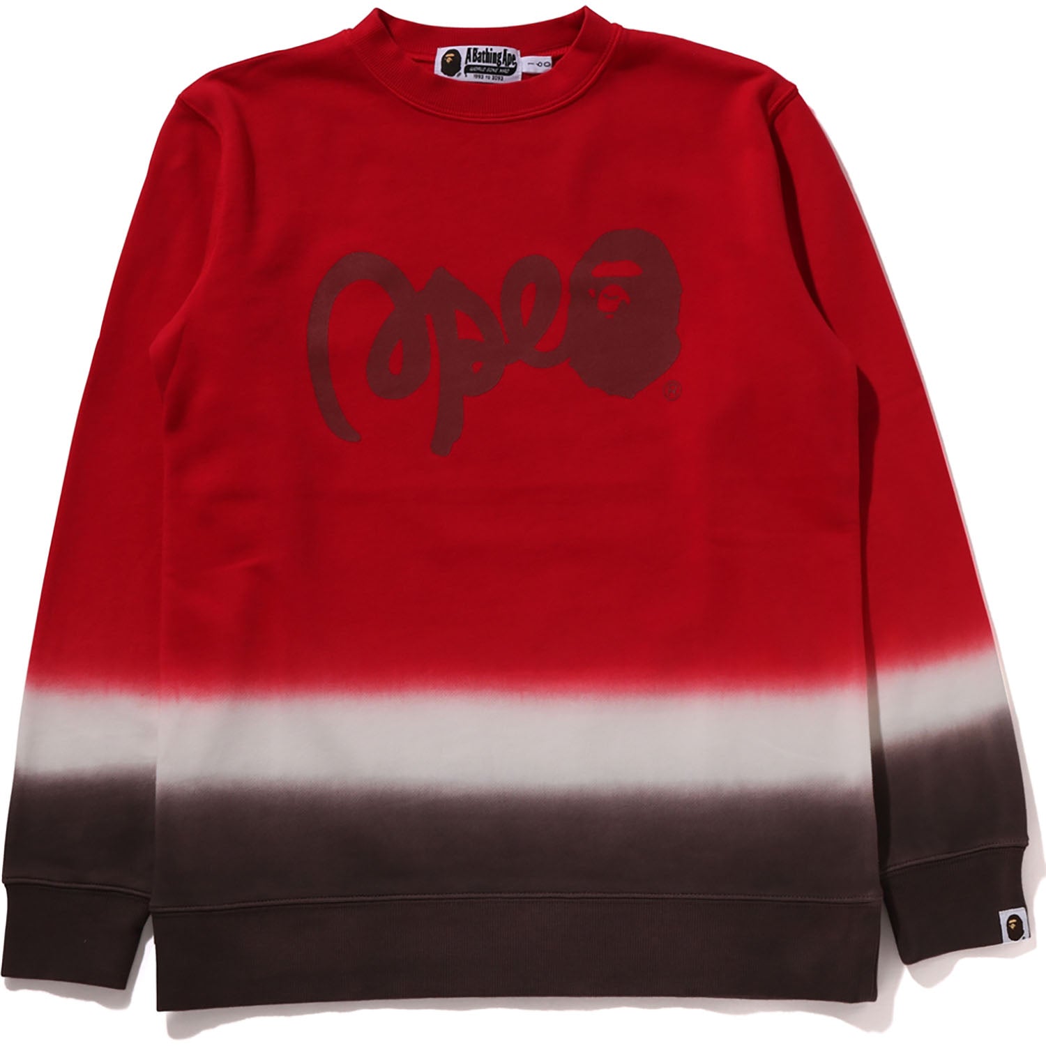 GRADATION  CREWNECK SWEATSHIRT JR KIDS