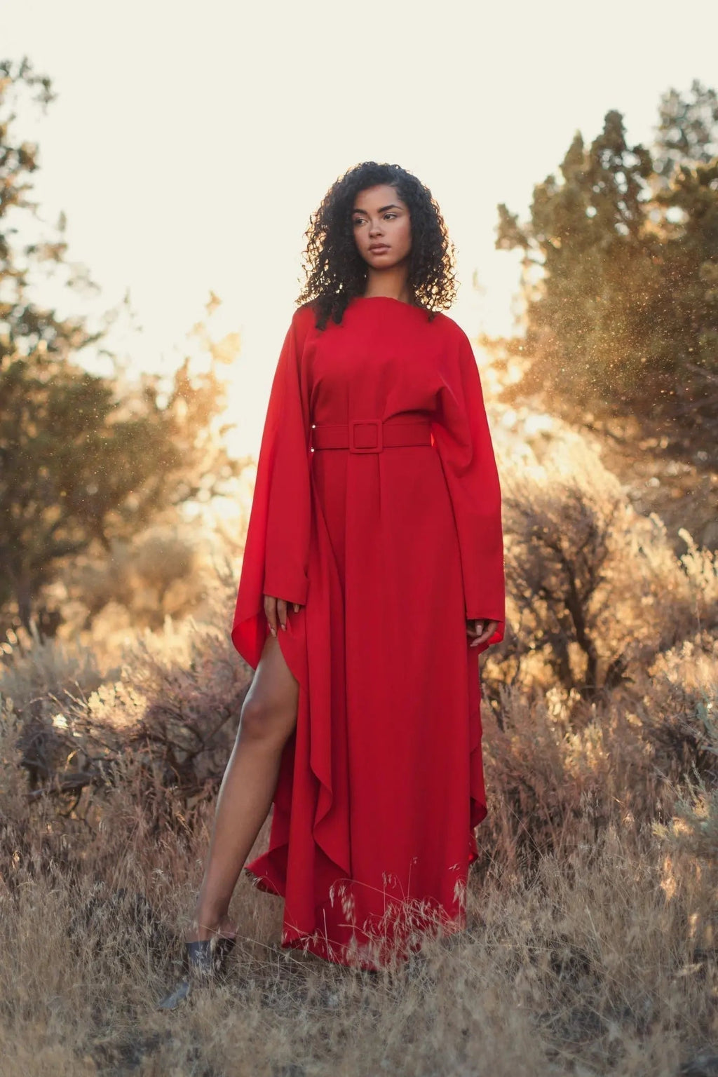 Women's Red Maxi Dress - Red