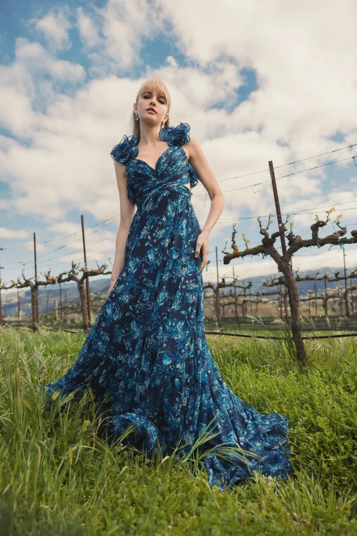 Women's Navy Dress Floral - Navy Lace Ruched